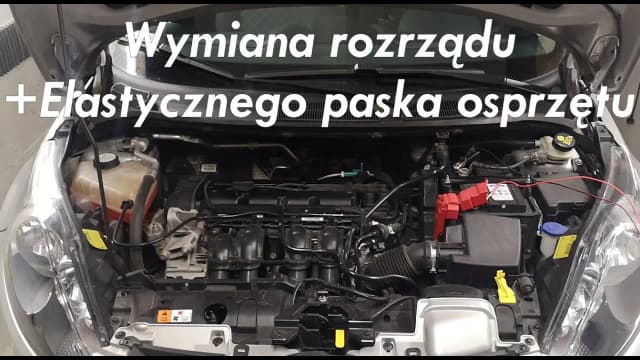Jak często wymieniać rozrząd w Fordzie Fiesta 1.4 benzyna i ile to kosztuje? Jak często wymieniać rozrząd w Fordzie Fiesta 1.4 benzyna i ile to kosztuje?